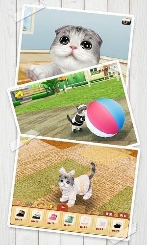 心动小猫截图2