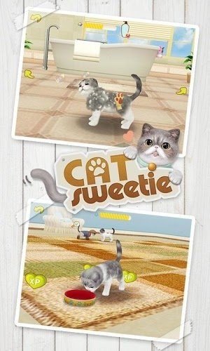 心动小猫截图3