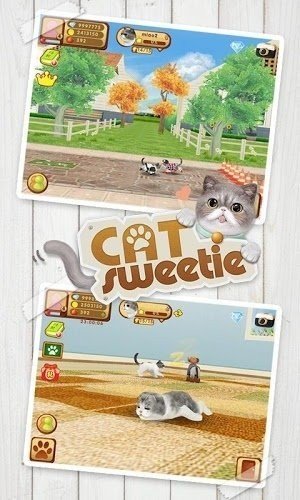 心动小猫截图1
