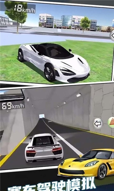 赛车驾驶狂飙3d截图2