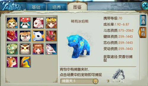 诛仙手游宠物稀有冰熊在哪里
