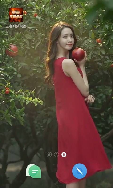 王者视频桌面截图1