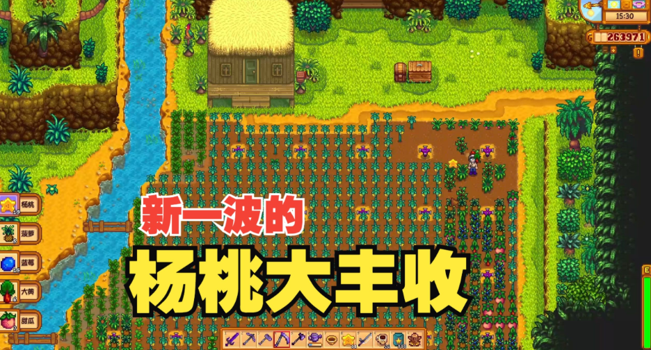 星露谷物语杨桃怎么酿酒