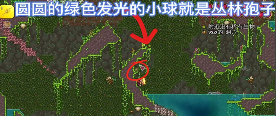 泰拉瑞亚丛林草种子怎么获得