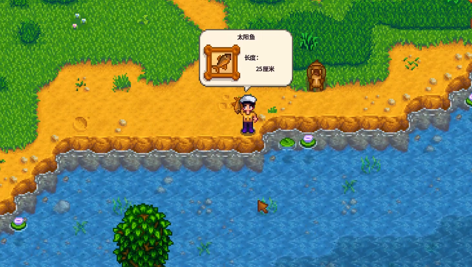 星露谷物语太阳鱼去哪里钓