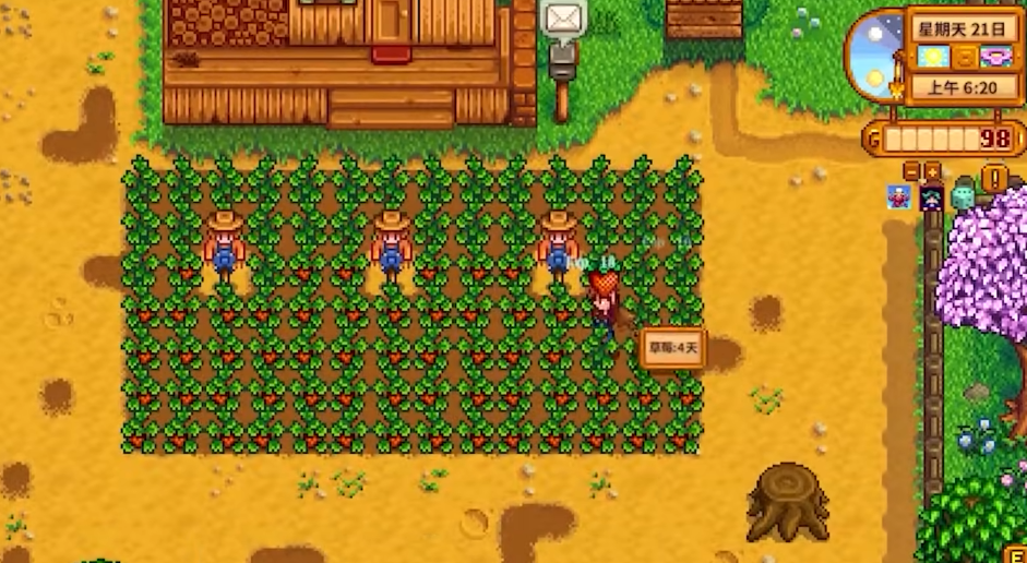 星露谷物语种植什么最好