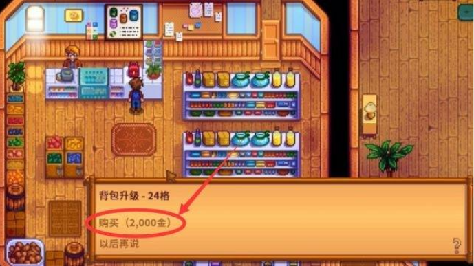 星露谷物语怎么扩展背包