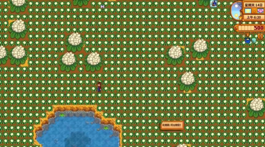 星露谷物语巨大植物怎么获得