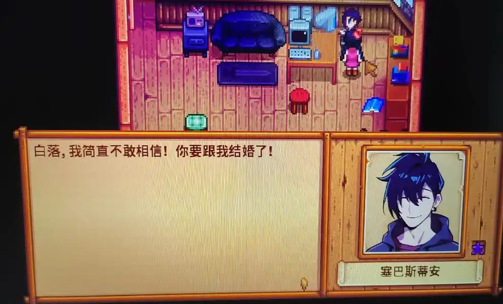 星露谷物语结婚对象有哪些