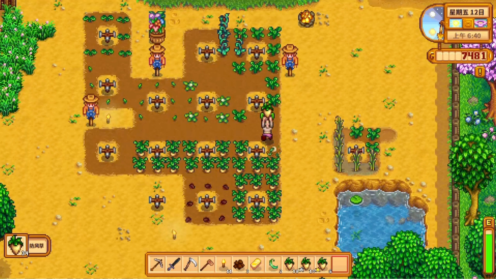 星露谷物语种什么