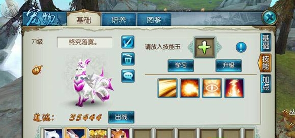 诛仙手游宠物如何学习四个技能