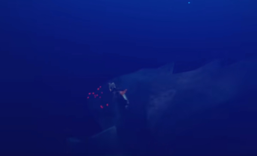 光遇深海季的红眼怪物怎么找