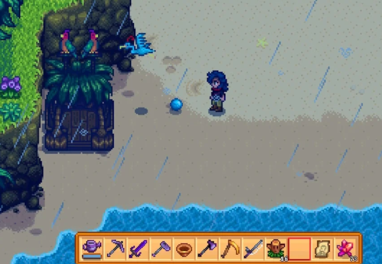 星露谷物语姜岛宝石鸟任务怎么完成