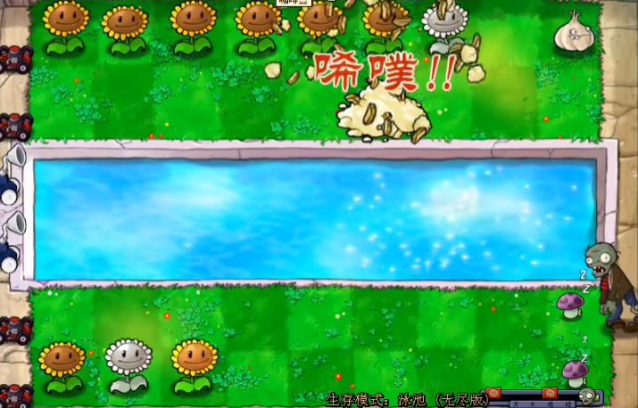 植物大战僵尸无尽模式前期怎么打