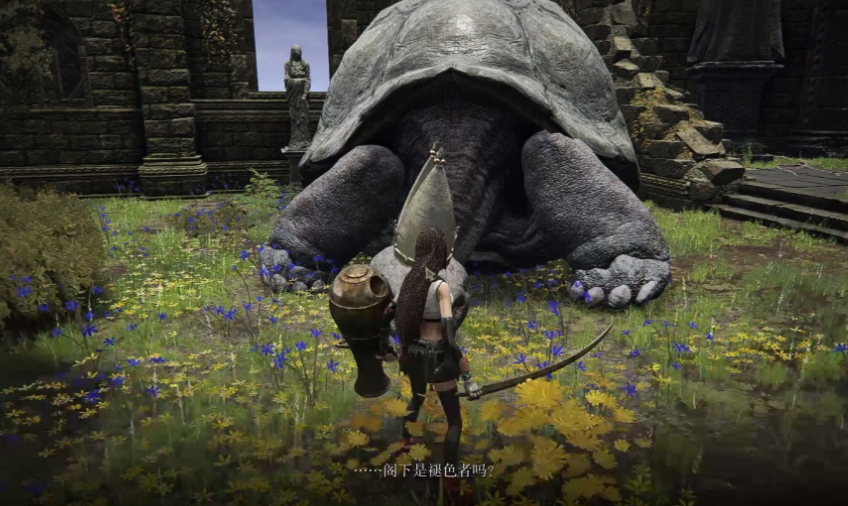 艾尔登法环乌龟法师技能怎么获取